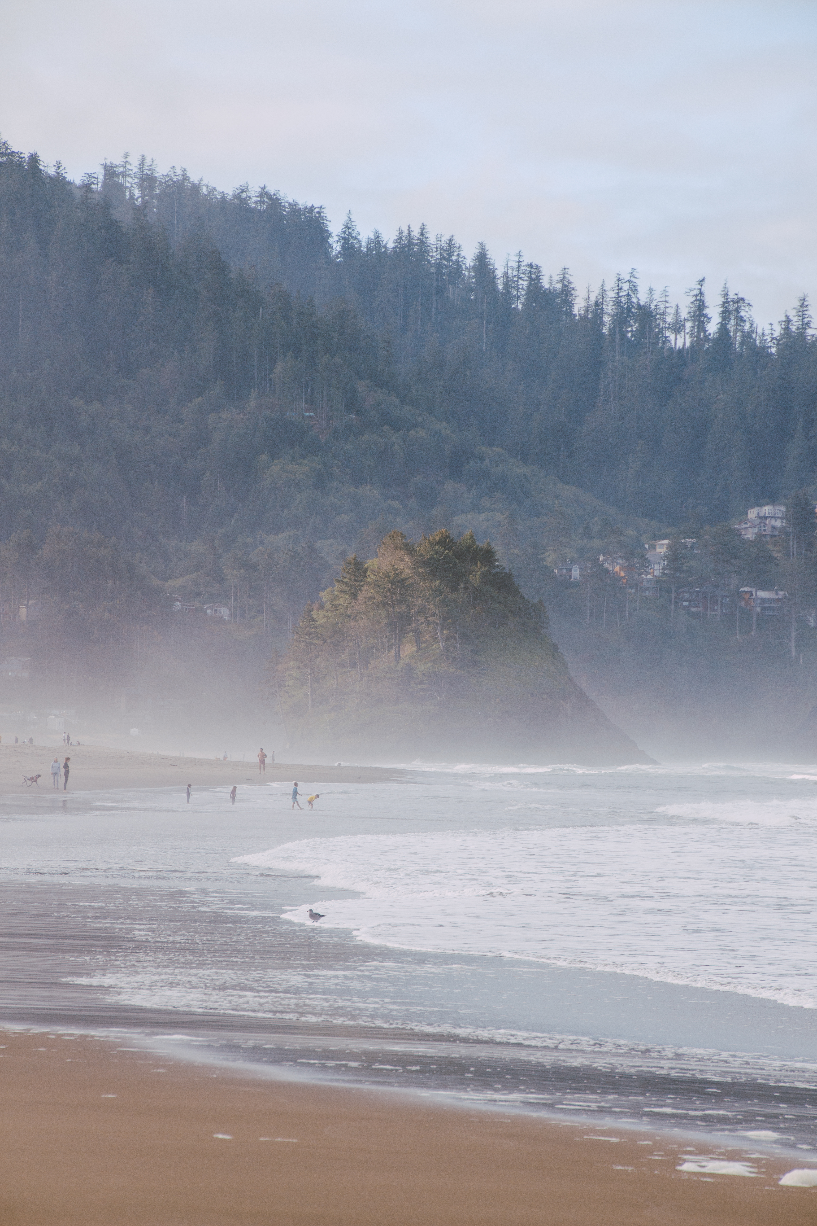 A forest beach